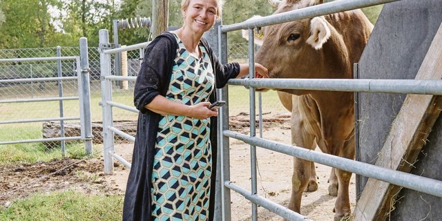 Auf dem Areal von IVI leben zwei Braunviehkühe als Blutspendetiere. «Ihnen stehen ein grosser Stall und eine grosszügige Wiese zur Verfügung», sagt Barbara Wieland.