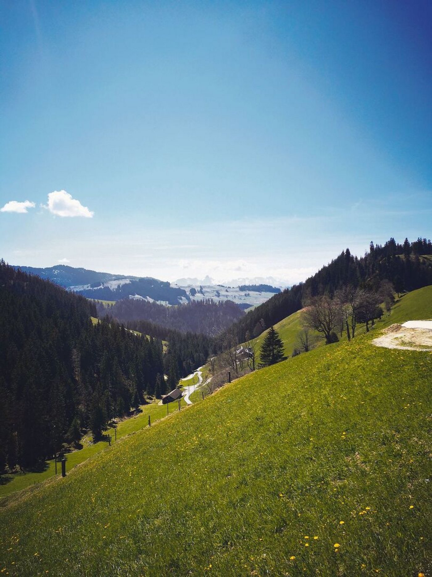 Die zahlreichen Steillagen sorgen für besondere Herausforderungen, etwa bei der Mechanisierung des Futterbaus.