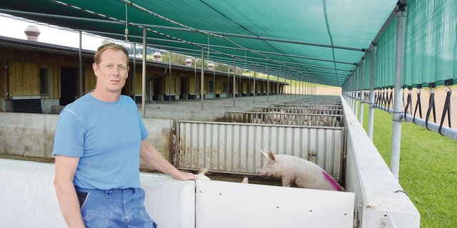 Franz Bucher vor dem 2017 gebauten Schweinemaststall. Oberhalb der 15 Buchten ist eine Beschattung mit Gefälle und Abstand zur Scheune aufgespannt.