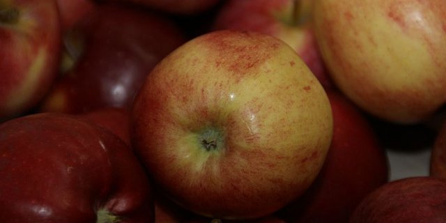 Die Lager der letzten Ernte leeren sich. (Bild lid)