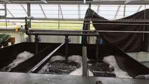 Der Baustart für die Fischzuchtanlage in Mollis erfolgt 2023. Die abgebildete Anlage gehört zur ZHAW in Wädenswil.