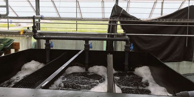 Der Baustart für die Fischzuchtanlage in Mollis erfolgt 2023. Die abgebildete Anlage gehört zur ZHAW in Wädenswil. 