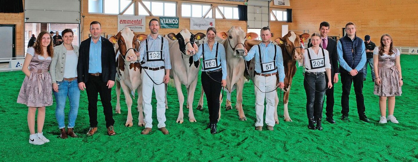 Die schönsten Aargauer Kühe der Rassen RH, HO, BS und SF zum Abschluss vereint.