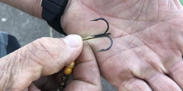 Das Verwenden von Widerhaken ist nur für die schwere Setzangelfischerei gestattet. (Bild Amt für Wald beider Basel)