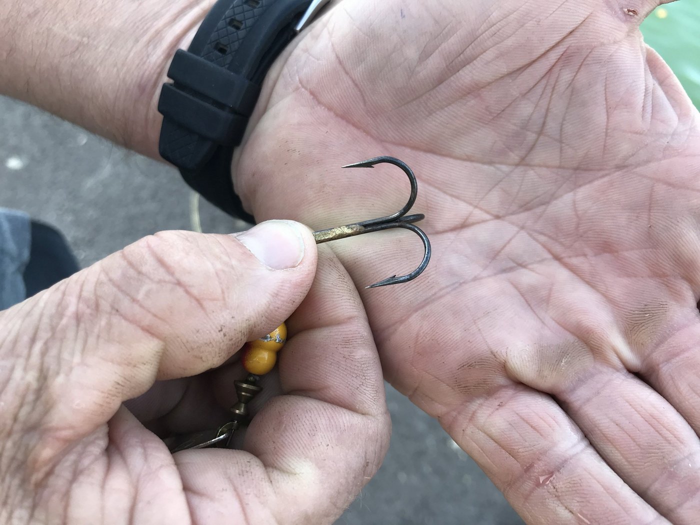 Das Verwenden von Widerhaken ist nur für die schwere Setzangelfischerei gestattet. (Bild Amt für Wald beider Basel)