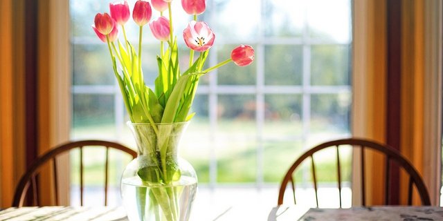 Man müsse in der Krise auch das Bedürfnis, mit einem Blumenstrauss etwas Farbe und Natur ins Haus zu bringen, ernst nehmen. (Bild Pixabay)