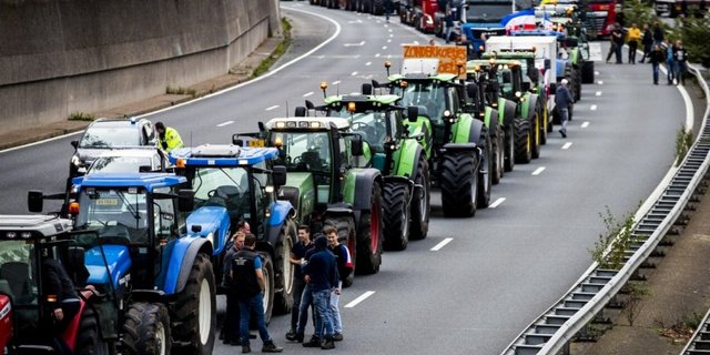 Die holländischen Bauern planen Demonstrationen für morgen. (Bild farmers defense force)