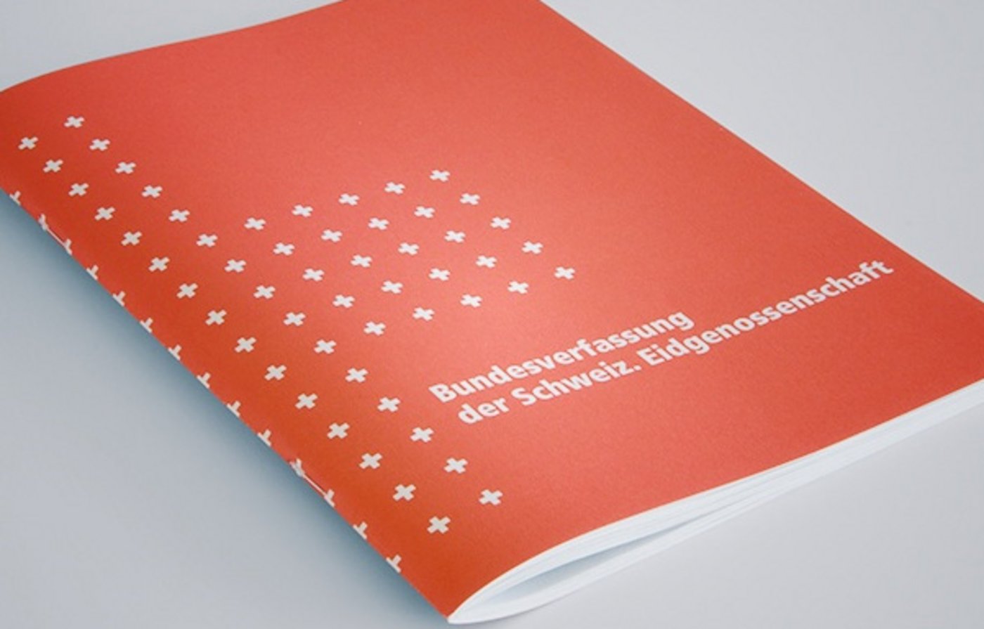 In den Bereichen Einkommen, Selbstversorgung und Verhältnismässigkeit sieht Paul Richli Konflikte mit der Verfassung. (Bild pd)