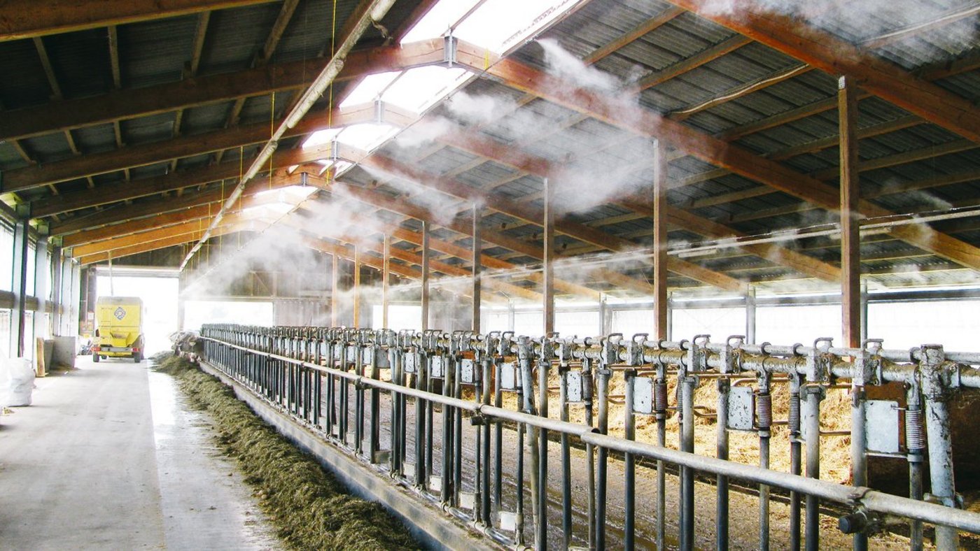 Der Nebel kühlt die Luft, der Stall bleibt aber trocken.(Bild Globogal)