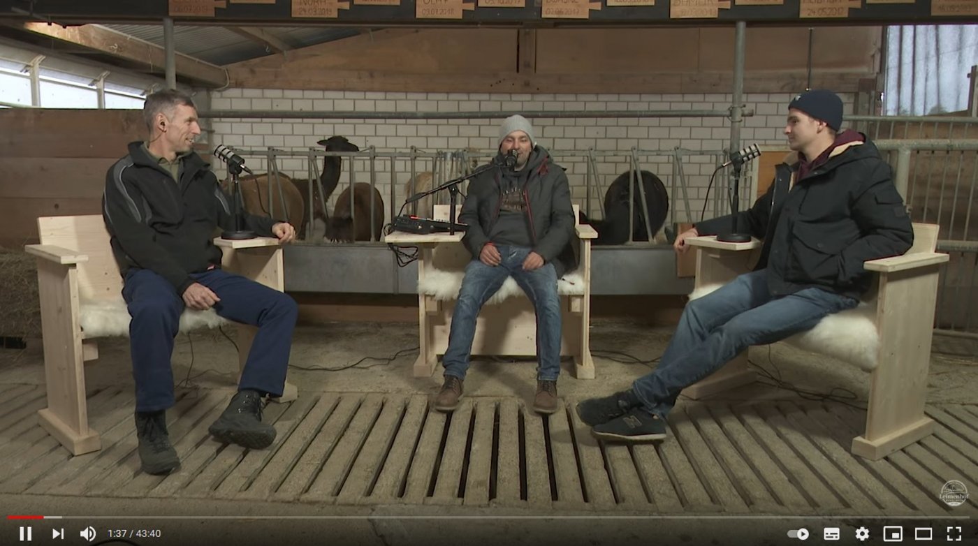 Direkt aus dem Lamastall: Ein Ausschnitt aus der Youtube-Talkshow Ofebänkli. (Screenshot)