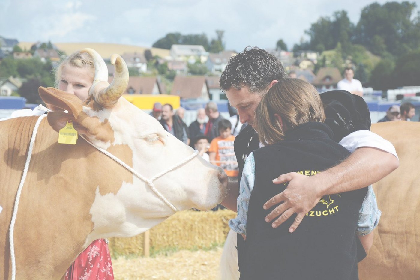 Das vermag Viehzucht zu bewirken:  Philipp Hertig und Tochter Janine liegen sich ob dem Miss-Simmental-Titel ihrer Kuh Wonne weinend in den Armen. (Bild sb)
