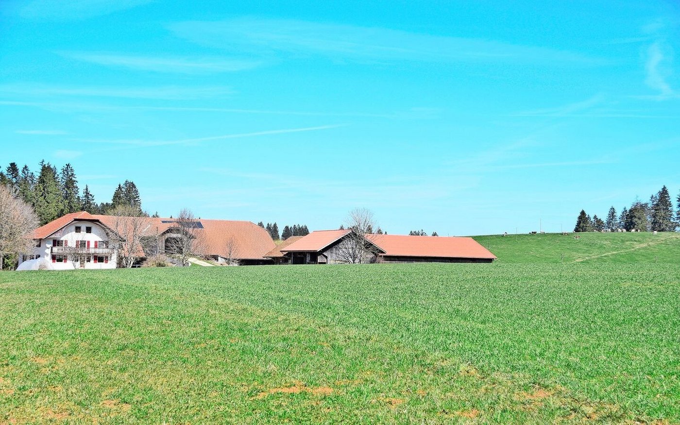 Der schöne Jura-Betrieb liegt eingebettet in einer Waldlichtung. Milchwirtschaft und Viehzucht sind die Hauptbetriebszweige.