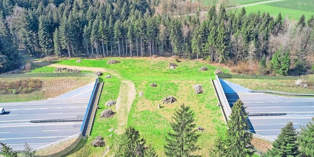 Wildtierpassagen wie hier über die Autobahn A2 bei Neuenkirch sollen die Querung von Barrieren ermöglichen. Aber auch in den Wildtierkorridoren soll möglichst hindernisfreier Durchgang möglich sein. Das kann die Landbewirtschaftung tangieren. 