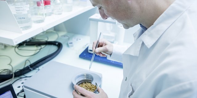 Der Insektensektor ist im Aufwind. (Bild lid/Bühler)