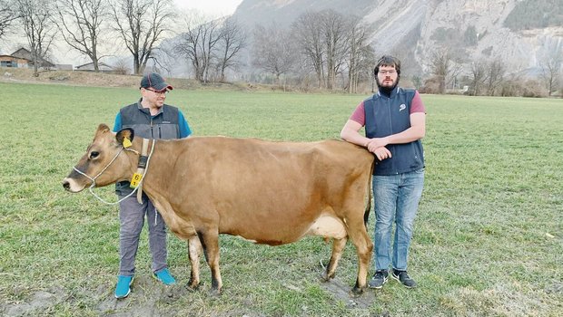 Die siebeneinhalbjährige Flamme wird auf dem Betrieb der Stiftung Plankis in Chur von allen geliebt. (Bild Johann Ulrich Salis)