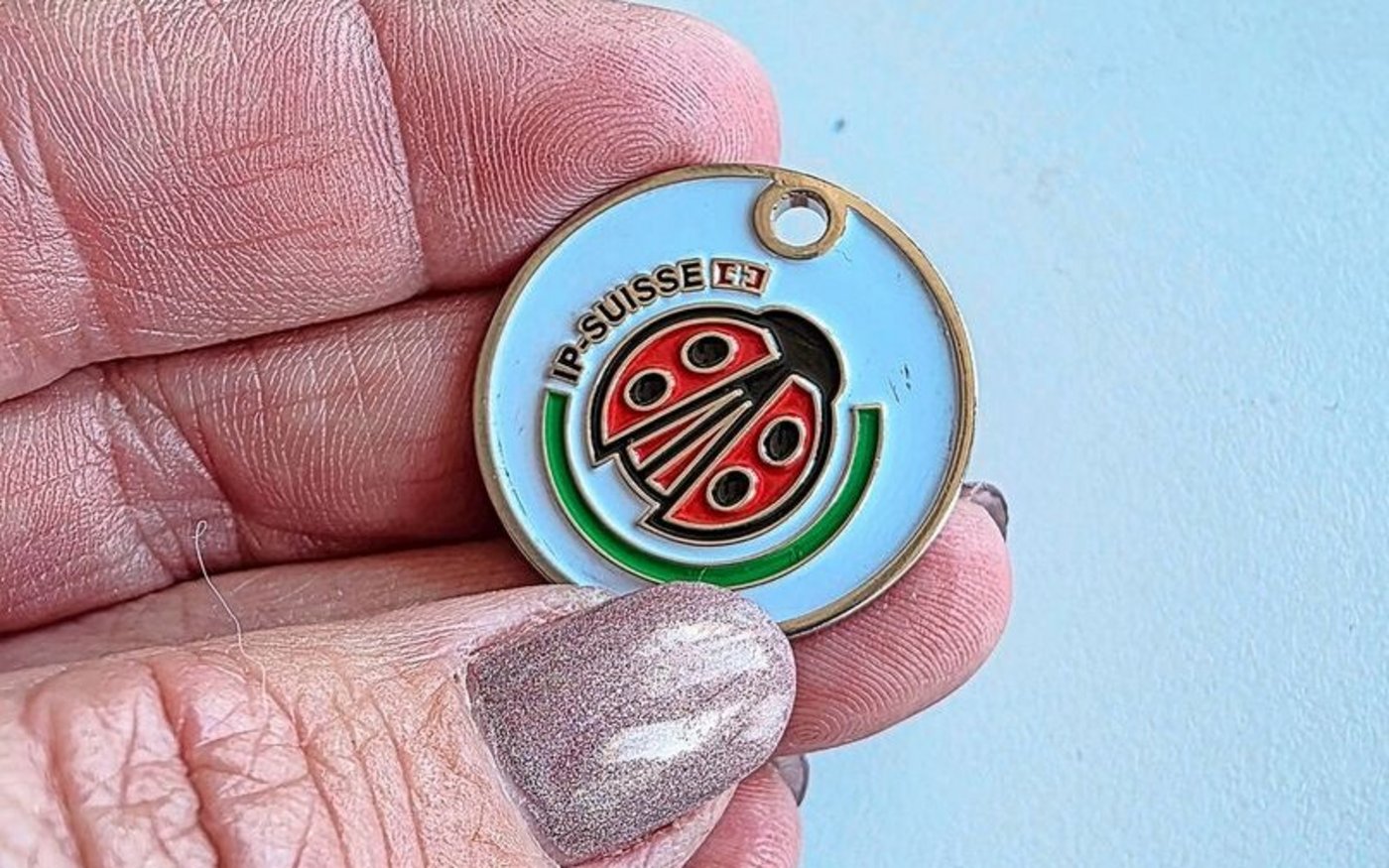 «Auf alles, was rund ist, muss ein Käfer», so Webers Credo. 