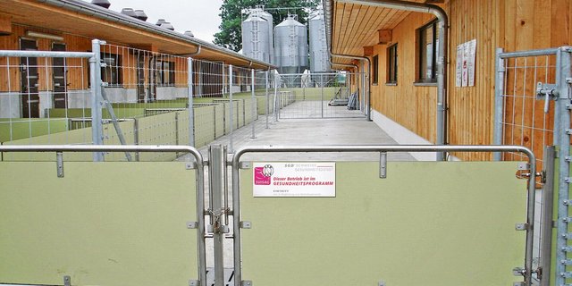 Schweizer Schweinehalter haben nichts zu verbergen. Trotzdem haben Unbefugte im Stall nichts zu suchen – aus sanitarischer, aber auch aus der Sicht des Tierschutzes.(Bild Suisag)