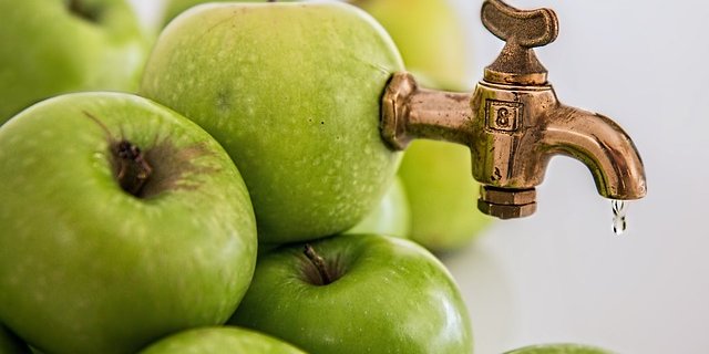 Ramseier verarbeitete insgesamt 91’200 Tonnen Mostobst. (Bild pixabay)