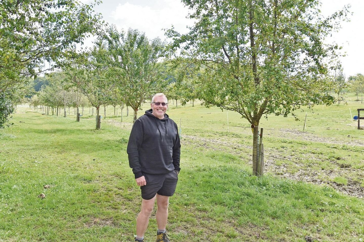 Stefan Sommer in einer seiner Hochstamm-Obstanlagen. Die Anlagen werden als Weiden für die Pferde genutzt.