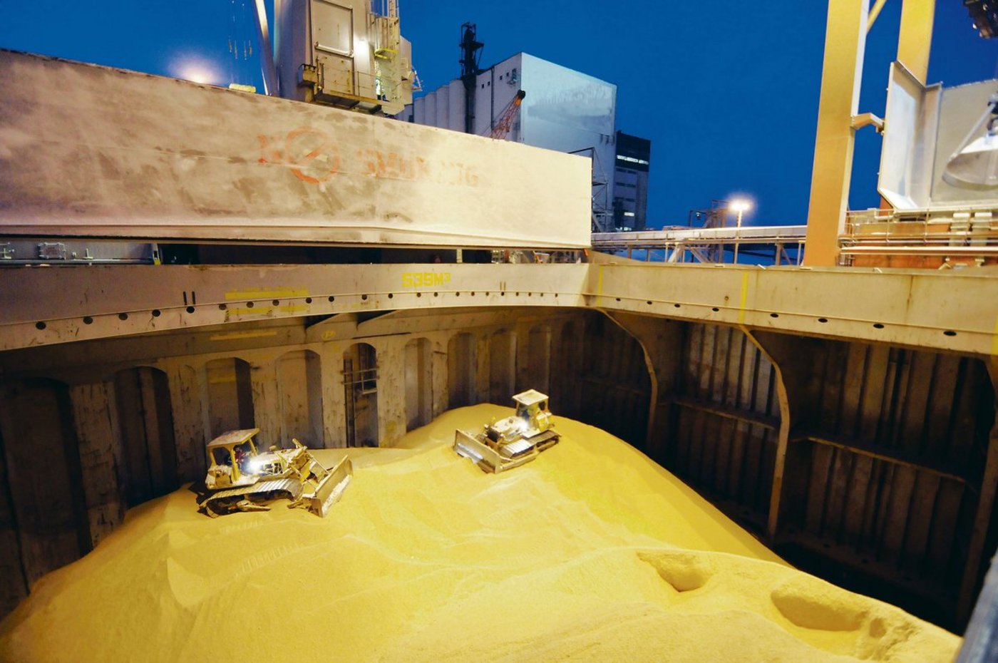 Aufnahme von einem Schiffsladeraum, der mit Sojaschrot gefüllt ist. In der Schweiz wird nur gentechfreie Soja verfüttert.(Bild Landpixel)