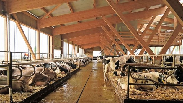 Die ältere Generation hat einige Jahre vor der Hofübergabe zum Teil den Vorteil, dass die Fremdkapitalbelastung deutlich tiefer ist. Das gibt Luft, um neue Projekte zu finanzieren. Aber es hat auch eine Kehrseite.