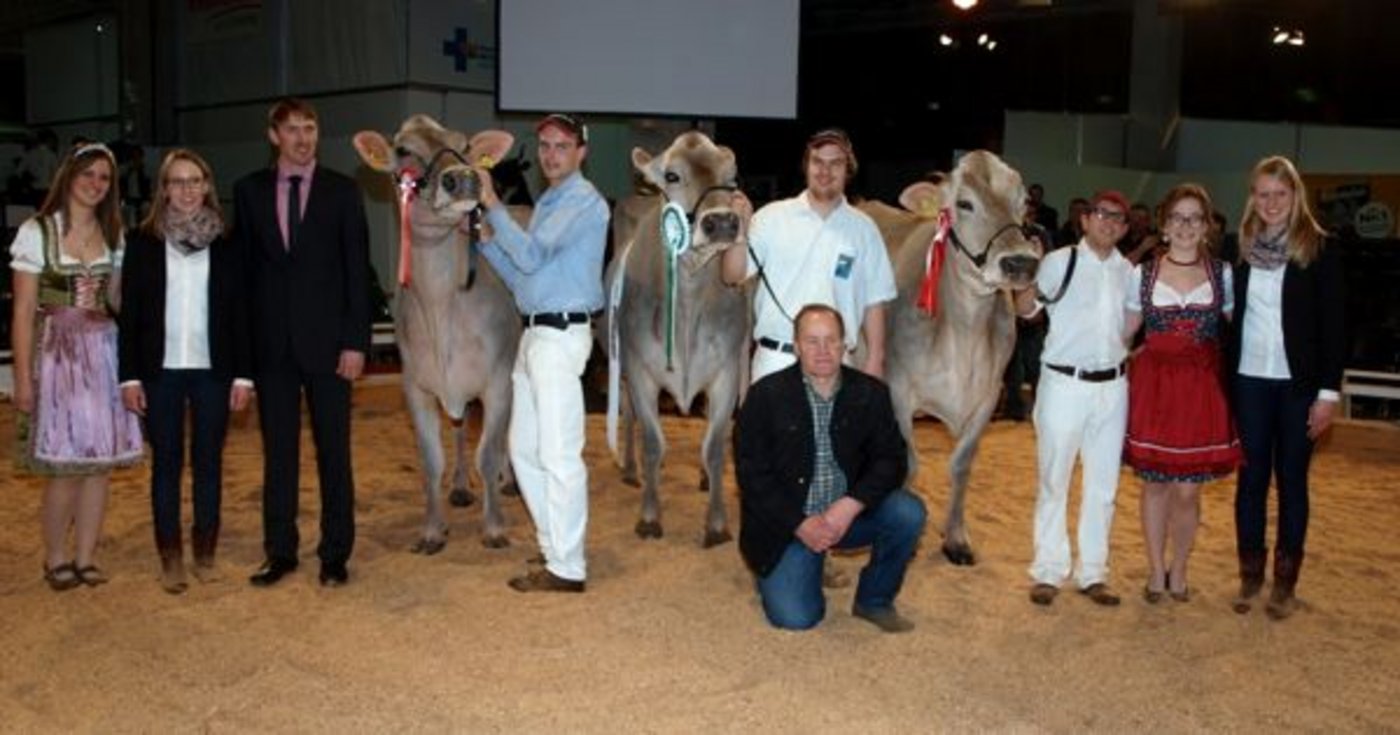 Grand Champion und Schöneuter alt: Jongleur Elisa, Adrian Arpagaus, Falera (Mitte). Reserve-Grand-Champion und Reserve Schöneuter alt: Plantahof’s Zeus Palma, LBBZ Plantahof, Landquart (rechts). Mention honorable: Jongleur Silvana, GoldHill Genetics, Romoos (links). (Bilder Mario Tosato)