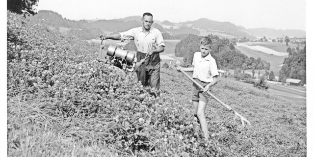Nicht wenige der Kinder gewannen bei der Arbeit einen Teil ihres Selbstwertgefühls, ihrer sozialen Kompetenzen und auch handwerkliche Fähigkeiten.