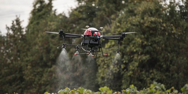Seit diesem Jahr sind in der Schweiz Sprühflüge mit Drohnen zugelassen. Sie versprühen Pflanzenschutzmittel mit weniger Abdrift. (Agrofly) 