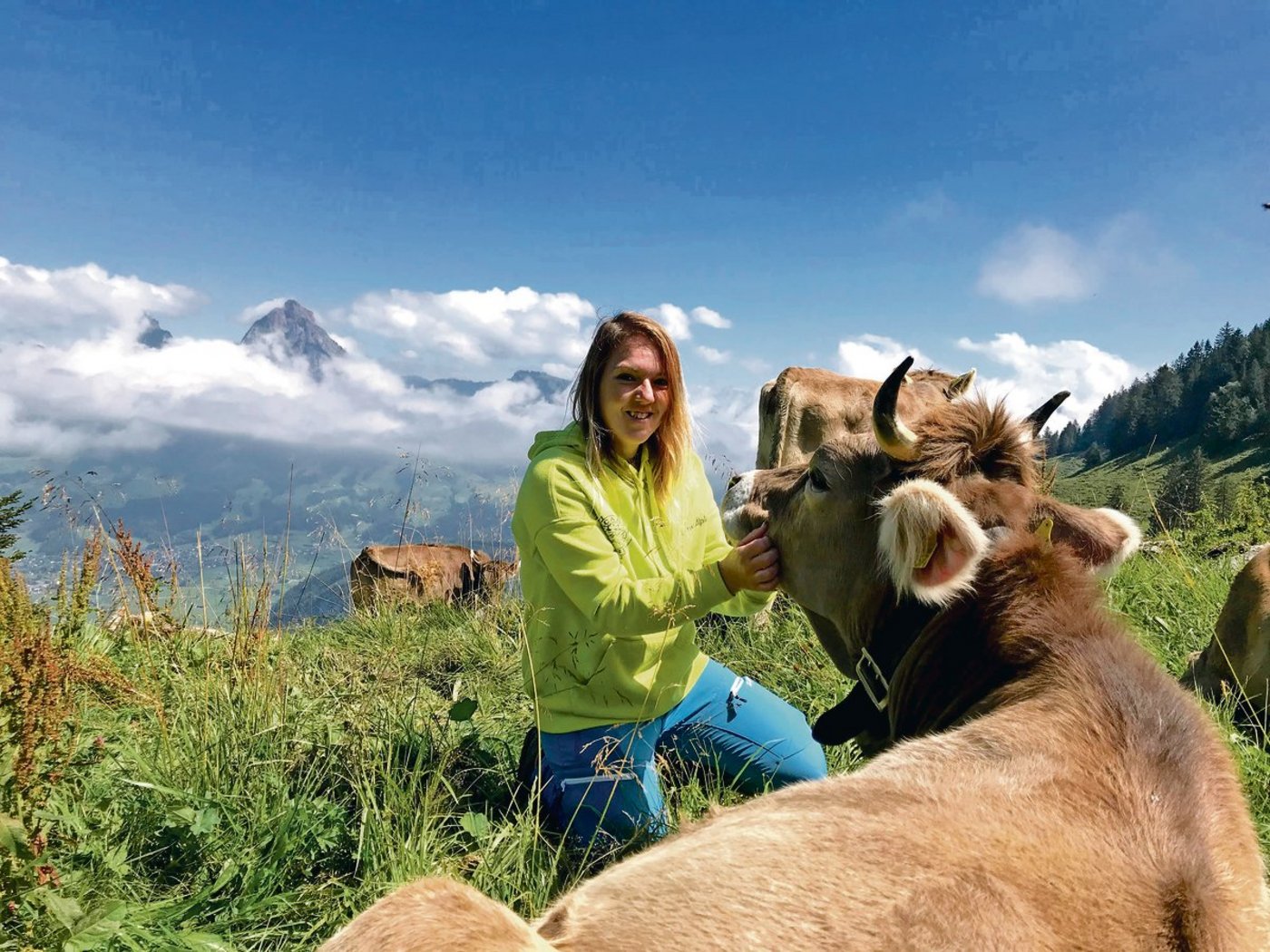 Benä Schmid hat einen guten Bezug zu den Tieren, inzwischen sind fast alle Rinder handzahm. Ein Junges ist durchgebrannt und konnte problemlos wieder eingefangen werden. Im Hintergrund sind die Mythen zu sehen. (Bilder Franziska Jurt)