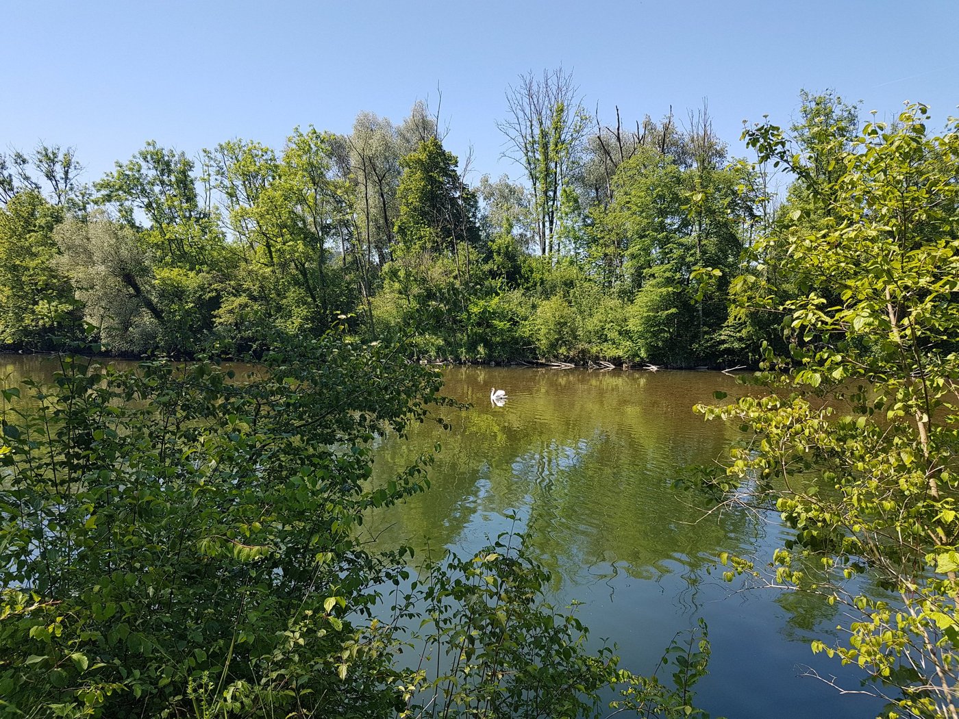 Flüsse und andere Gewässer sollen durch bestehende Massnahmen besser geschützt werden. (Bild lae)