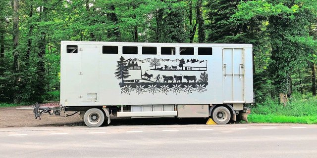 Tierhalter sind für den tierschutzkonformen Transport ihrer Tiere verantwortlich. Dazu gehört, weitere Beteiligte über Krankheiten und Verletzungen in Kenntnis zu setzen.