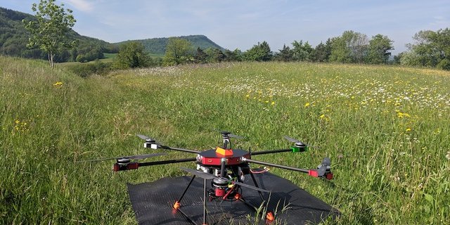 Drohnen sollen Pflanzen erkennen und zählen. (Bild ETH)