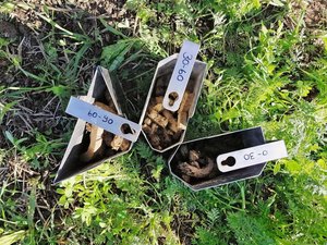 Separate Bodenproben von drei Horizonten. Wer bedarfsgerecht düngen will, muss wissen, wie viel Nmin schon im Boden vorhanden ist. Bild: bodenproben.ch