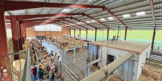 Der Stall ist rund 55 m lang und 22 m breit. Die Höhe beträgt rund 9 m. In der Stallmitte ist der Melkroboter zu sehen und hinten zwischen den Lägern das Strohlager. Die Laufgänge sind über 4 m breit.