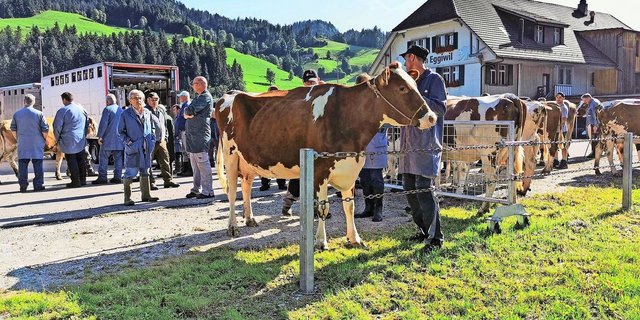 Die Auffuhren an den öffentlichen Märkten waren im vergangenen Jahr deutlich tiefer als noch 2022.