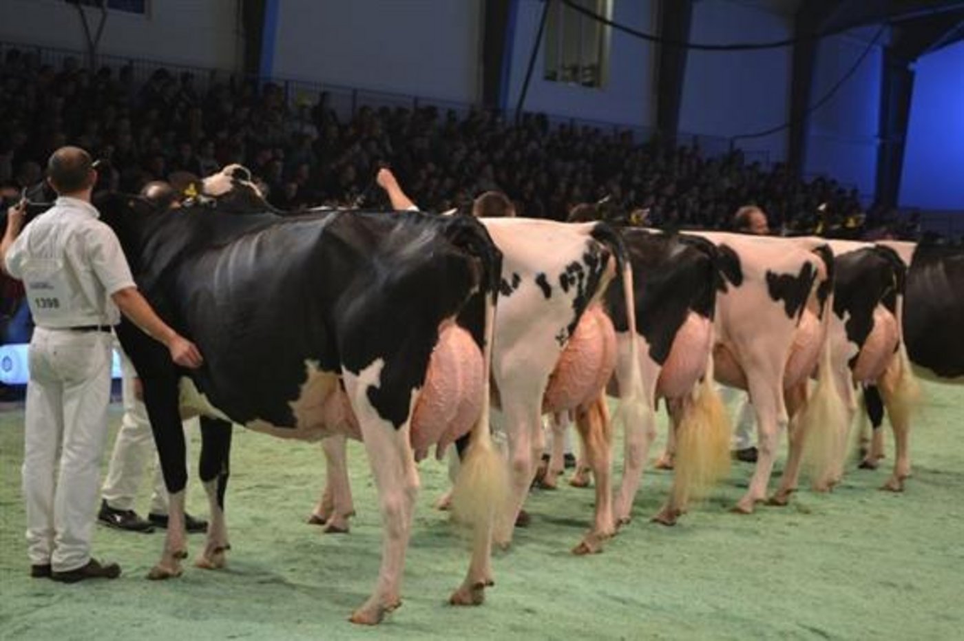 Neues Reglement: An Spitzenschauen soll künftig härter gegen Verstösse vorgegangen werden. (Bild BauZ) 