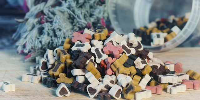 Neu kann auch Tierfutter mit der Garantiemarke Suisse Garantie ausgezeichnet werden. (Bild Pixabay)