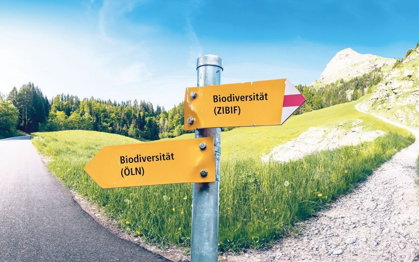 Biodiversität an der Weggabelung. Sollen Landwirte in Zukunft vermehrt zielorientiert (rechter Weg) mit mehr Eigenverantwortung oder weiterhin massnahmenorientiert (linker Weg) mit weniger Freiheiten wirtschaften?  