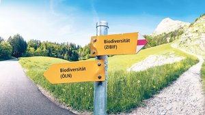 Biodiversität an der Biodiversität an der Weggabelung. Sollen Landwirte in Zukunft vermehrt zielorientiert (rechter Weg) mit mehr Eigenverantwortung oder weiterhin massnahmenorientiert (linker Weg) mit weniger Freiheiten wirtschaften?