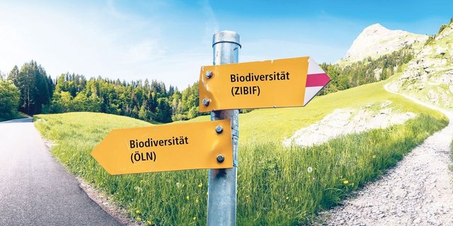 Biodiversität an der Weggabelung. Sollen Landwirte in Zukunft vermehrt zielorientiert (rechter Weg) mit mehr Eigenverantwortung oder weiterhin massnahmenorientiert (linker Weg) mit weniger Freiheiten wirtschaften?  