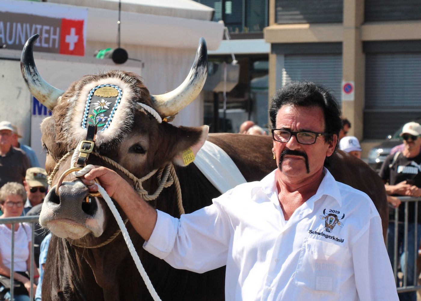Urs Nussbaumer ist ganz vernarrt in seinen Stier. (Bild Hans Rüssli)