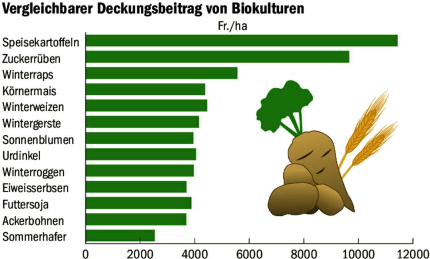 Am wirtschaftlichsten sind im Bio Speisekartoffeln und Zuckerrüben.