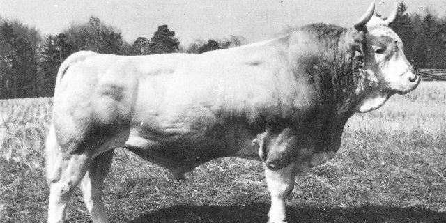 Georg Utzenstorf von Ruedi Fischer, geboren 1966, im KB-Einsatz Anfang der 70er-Jahre.