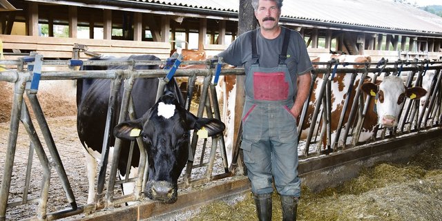 Auf seinem Betrieb hält Peter Leiser 45 Holstein- und Red-Holstein-Kühe. «In ein paar Jahren habe ich nur noch Holsteinkühe», sagt der Betriebsleiter überzeugt.(Bild Peter Fankhauser)