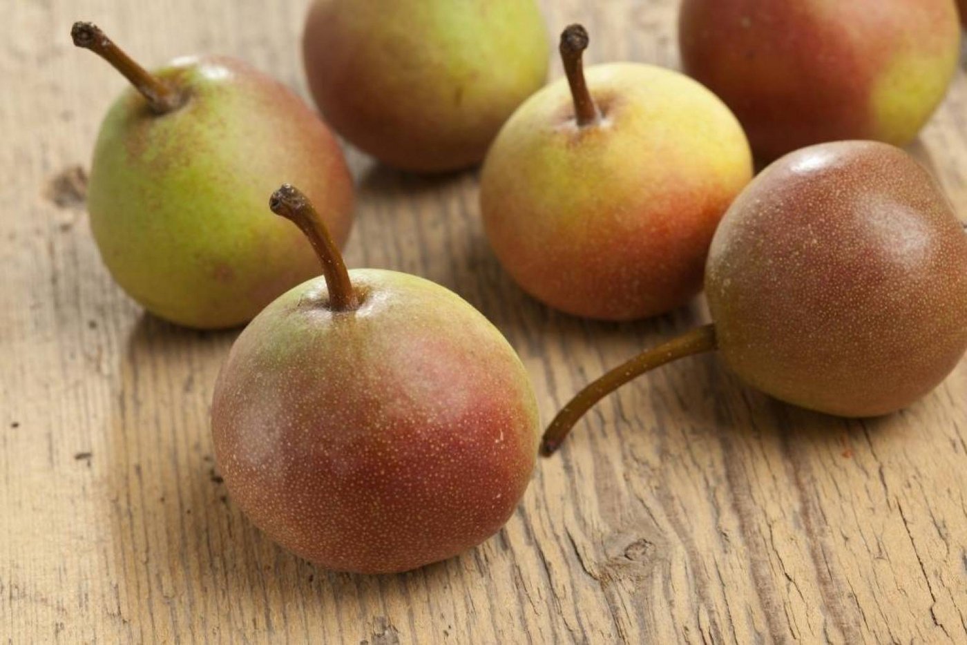 Klein, rund und mit AOP-Label: Büschelibrinen sind etwas Besonderes. (Bild Terroir Fribourg)