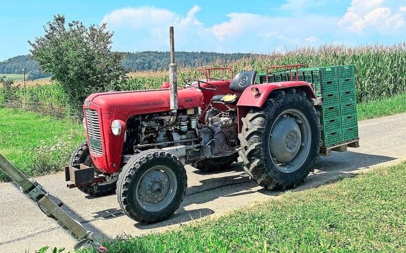 Für den Transport der Gurken kommt ausnahmsweise der kleine rote Traktor zum Einsatz.