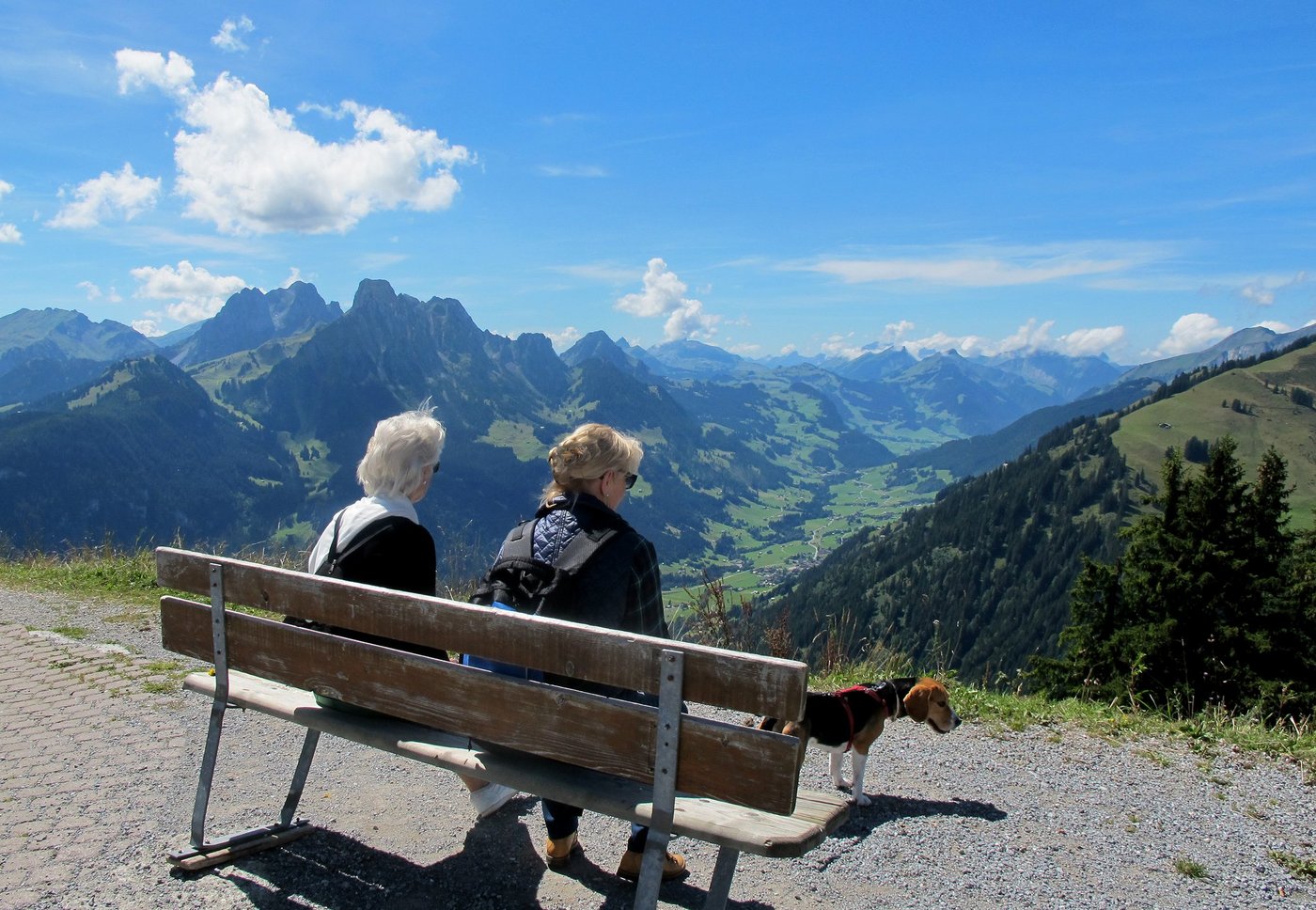 Der Altweibersommer, wie diese Zeit zwischen Mitte September und Anfang Oktober genannt wird, hat nichts mit Damen in gesetzterem Alter zu tun. Das Wort stammt vom altdeutschen "weiben" und bedeutet das Weben von Spinnfäden. (Bild: JouJou / pixelio.de)