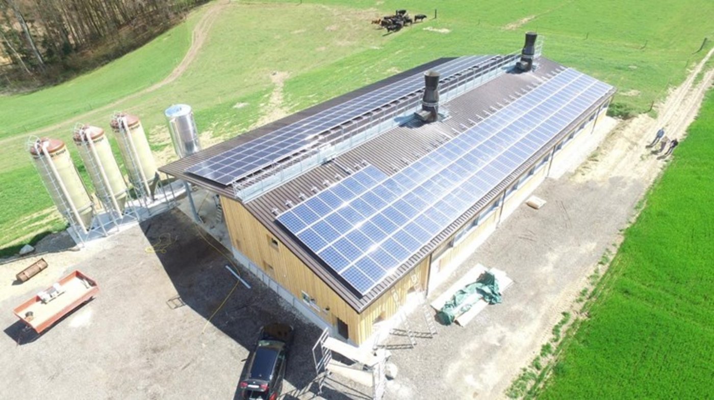 Auch die Förderung von nachhaltigem Bauen (hier eine mit Minergie-zertifizierte Pouletmasthalle) soll zu einem nachhaltigen Wiederhochfahren der Wirtschaft beitragen. (Bild BauZ)