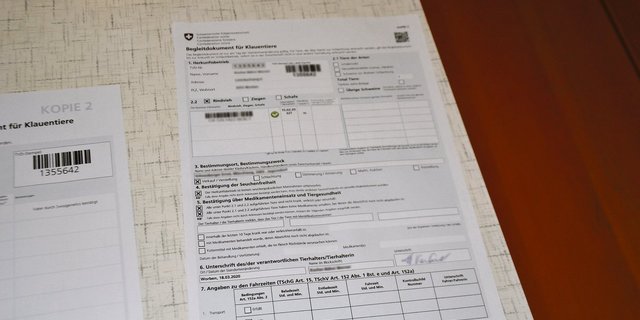 Für jedes gehandelte Tier braucht es Begleitdokumente. (Bild pf)