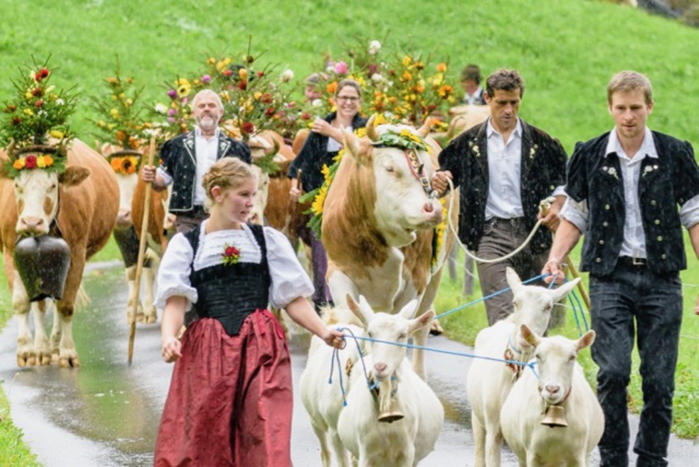 Die Älplerinnen und Älpler von den Alpen im Dürrenwald fuhren am letzten Samstag herunter. (Bilder Patrick Aegerter) 